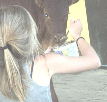 Hailey Feeding Stetson.