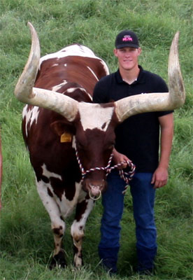 Lil Guy (parade steer) With Brett Rovey