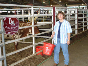 Cindy Sims watering her cattle at the Tulsa State Fair Ankole-Watusi Show. (Photo courtesy Brian Sims)