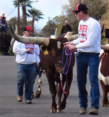 Now remember, smile at the parade-watchers. (Photo courtesy Paul Rovey)