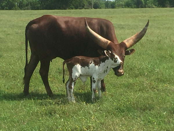 Are you sure this is mine? (Brian & Cindy Sims)