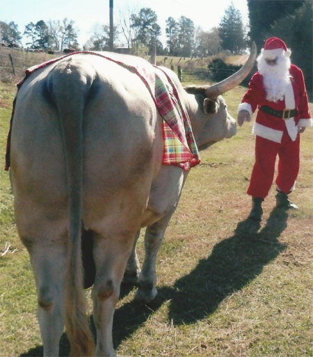 Santa and Cowboy Cream Soda. (The Wheatons)