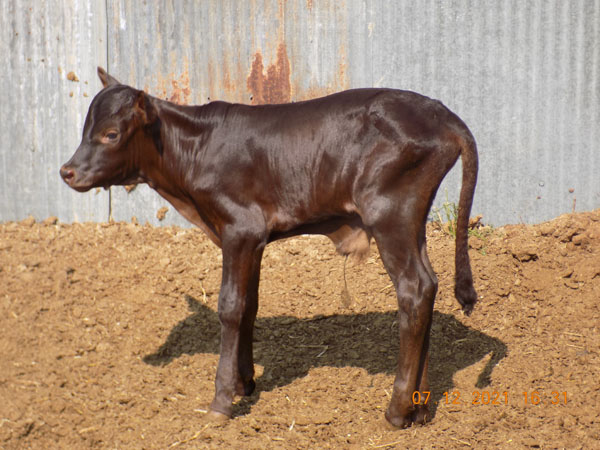 Such a pretty boy. (Pat/Larry Goree)