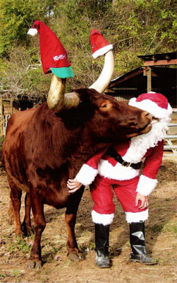 Sur Tells Santa What He Wants For Christmas (Photo courtesy Gloria Wheaton)