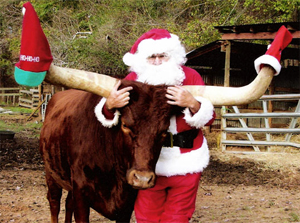 Santa Checks Horn Clearance Before Accepting The New Sleigh Recruit (Photo courtesy Gloria Wheaton)