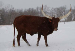 Good grief, it's cold out here. (Photo by Michelle Stanley.)