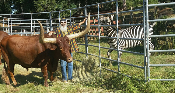 Stripes everywhere! (The Wheatons)