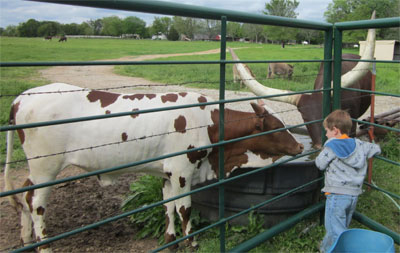 Helping with the chores. (Photo courtesy Sims family)