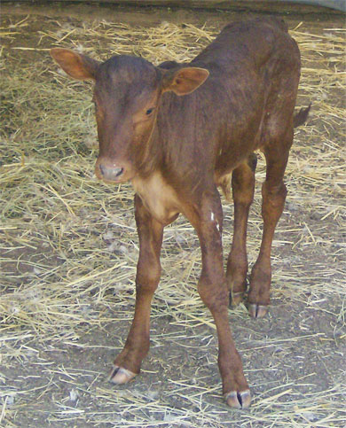 Babies are always so cute. (Photo courtesy Pat Goree)