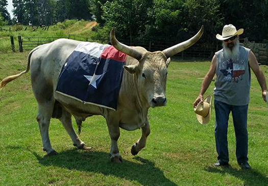 We love Texas! (The Wheatons)