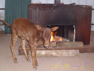 Ahh, it's nice to be warm! Tiny Hiney (The Hethcox Family)