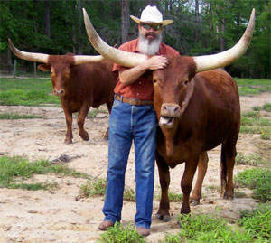 Bill Wheaton likes to play around with the pet steers.